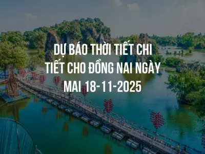 Dự báo thời tiết chi tiết cho Đồng Nai ngày mai 18-11-2025