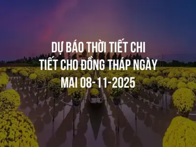 Dự báo thời tiết chi tiết cho Đồng Tháp ngày mai 08-11-2025
