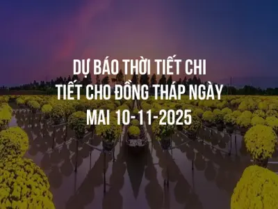 Dự báo thời tiết chi tiết cho Đồng Tháp ngày mai 10-11-2025