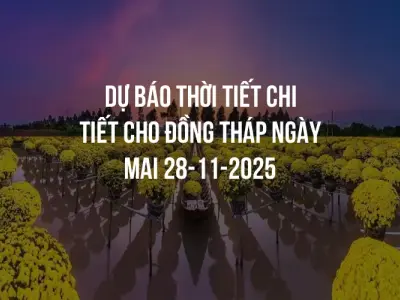 Dự báo thời tiết chi tiết cho Đồng Tháp ngày mai 28-11-2025