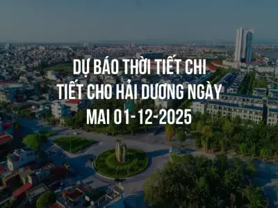 Dự báo thời tiết chi tiết cho Hải Dương ngày mai 01-12-2025