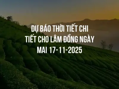 Dự báo thời tiết chi tiết cho Lâm Đồng ngày mai 17-11-2025