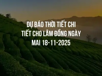 Dự báo thời tiết chi tiết cho Lâm Đồng ngày mai 18-11-2025