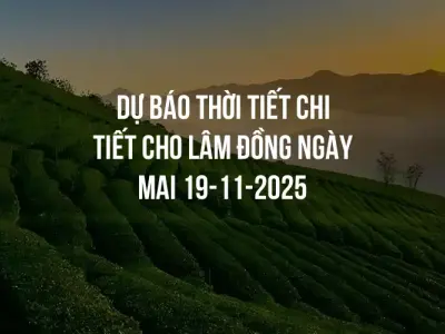 Dự báo thời tiết chi tiết cho Lâm Đồng ngày mai 19-11-2025