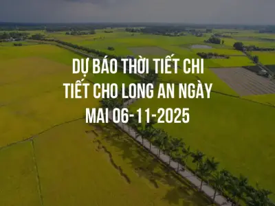 Dự báo thời tiết chi tiết cho Long An ngày mai 06-11-2025