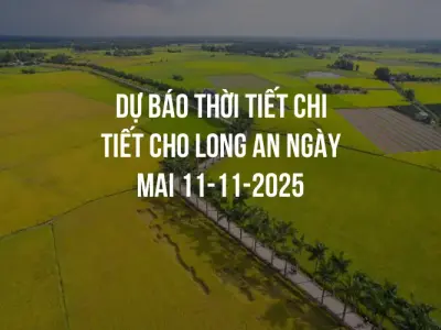 Dự báo thời tiết chi tiết cho Long An ngày mai 11-11-2025