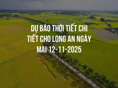 Dự báo thời tiết chi tiết cho Long An ngày mai 12-11-2025