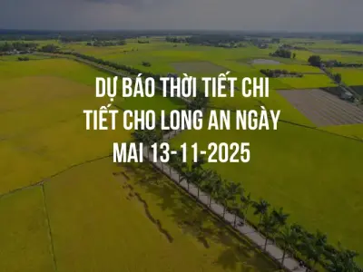 Dự báo thời tiết chi tiết cho Long An ngày mai 13-11-2025