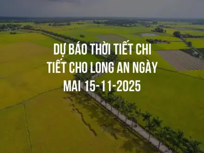Dự báo thời tiết chi tiết cho Long An ngày mai 15-11-2025