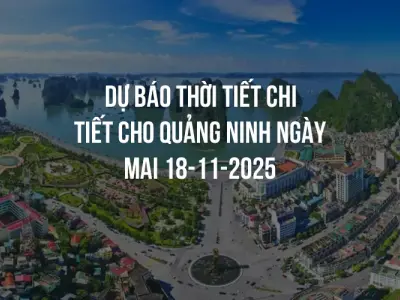 Dự báo thời tiết chi tiết cho Quảng Ninh ngày mai 18-11-2025