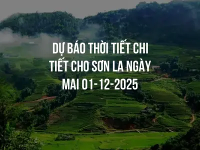 Dự báo thời tiết chi tiết cho Sơn La ngày mai 01-12-2025