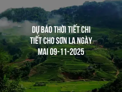 Dự báo thời tiết chi tiết cho Sơn La ngày mai 09-11-2025