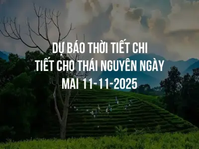 Dự báo thời tiết chi tiết cho Thái Nguyên ngày mai 11-11-2025