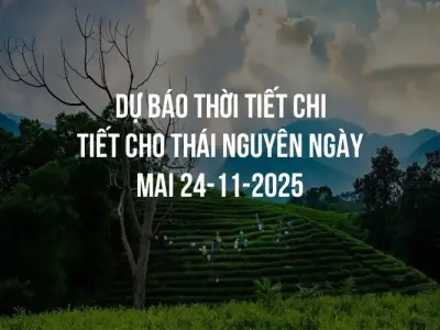 Dự báo thời tiết chi tiết cho Thái Nguyên ngày mai 24-11-2025