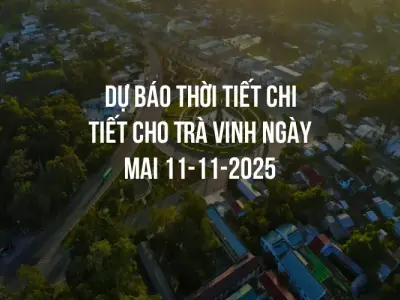 Dự báo thời tiết chi tiết cho Trà Vinh ngày mai 11-11-2025