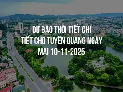 Dự báo thời tiết chi tiết cho Tuyên Quang ngày mai 10-11-2025