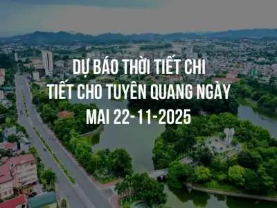 Dự báo thời tiết chi tiết cho Tuyên Quang ngày mai 22-11-2025