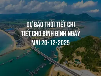 Dự báo thời tiết chi tiết cho Bình Định ngày mai 20-12-2025
