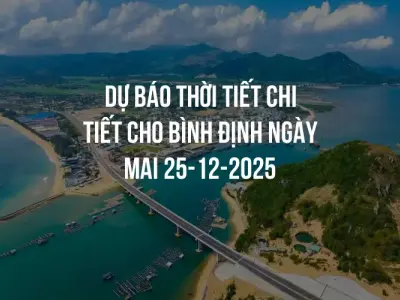 Dự báo thời tiết chi tiết cho Bình Định ngày mai 25-12-2025
