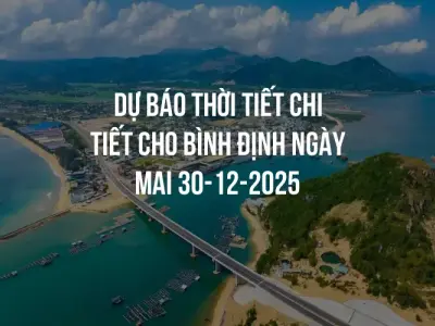 Dự báo thời tiết chi tiết cho Bình Định ngày mai 30-12-2025
