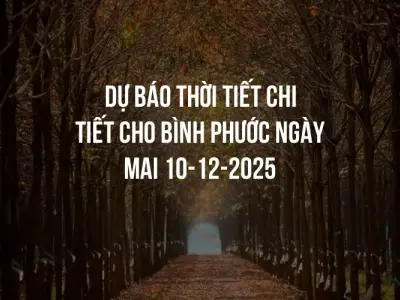 Dự báo thời tiết chi tiết cho Bình Phước ngày mai 10-12-2025