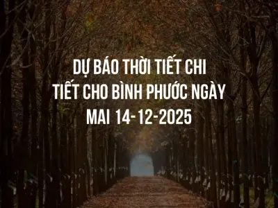 Dự báo thời tiết chi tiết cho Bình Phước ngày mai 14-12-2025