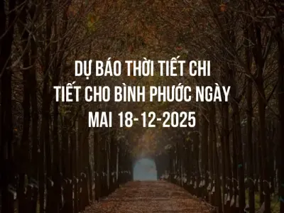 Dự báo thời tiết chi tiết cho Bình Phước ngày mai 18-12-2025