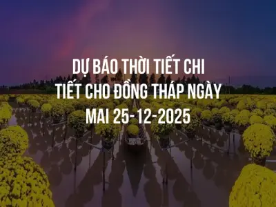 Dự báo thời tiết chi tiết cho Đồng Tháp ngày mai 25-12-2025