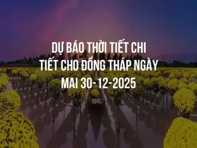Dự báo thời tiết chi tiết cho Đồng Tháp ngày mai 30-12-2025