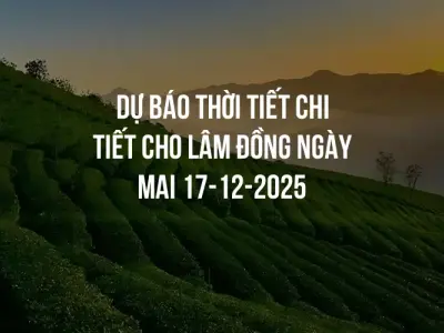 Dự báo thời tiết chi tiết cho Lâm Đồng ngày mai 17-12-2025