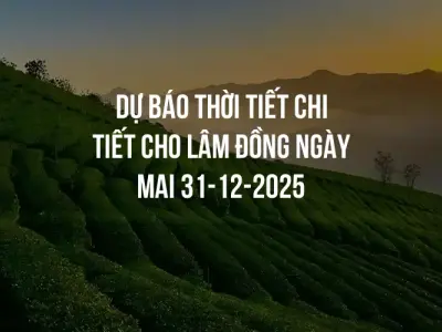 Dự báo thời tiết chi tiết cho Lâm Đồng ngày mai 31-12-2025