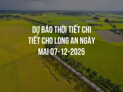 Dự báo thời tiết chi tiết cho Long An ngày mai 07-12-2025