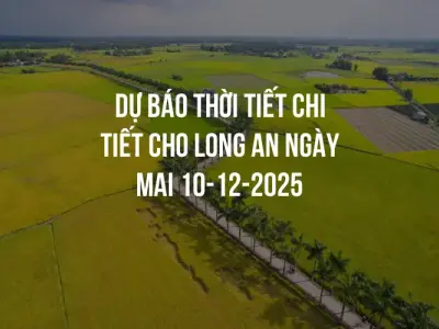 Dự báo thời tiết chi tiết cho Long An ngày mai 10-12-2025