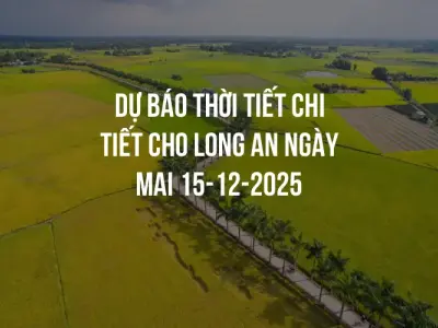 Dự báo thời tiết chi tiết cho Long An ngày mai 15-12-2025