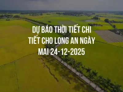 Dự báo thời tiết chi tiết cho Long An ngày mai 24-12-2025