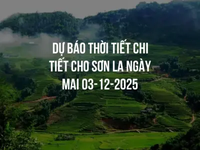Dự báo thời tiết chi tiết cho Sơn La ngày mai 03-12-2025