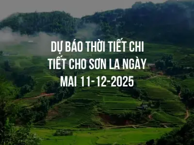 Dự báo thời tiết chi tiết cho Sơn La ngày mai 11-12-2025