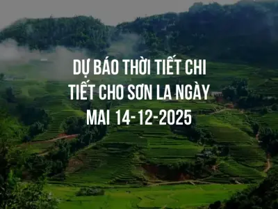 Dự báo thời tiết chi tiết cho Sơn La ngày mai 14-12-2025