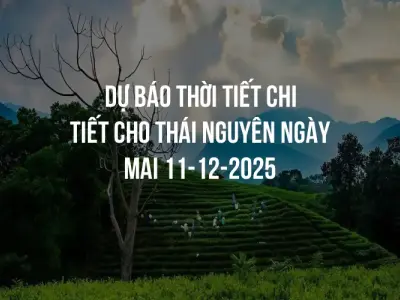 Dự báo thời tiết chi tiết cho Thái Nguyên ngày mai 11-12-2025