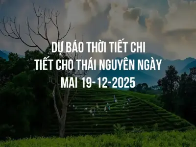 Dự báo thời tiết chi tiết cho Thái Nguyên ngày mai 19-12-2025