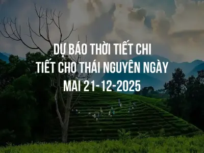 Dự báo thời tiết chi tiết cho Thái Nguyên ngày mai 21-12-2025
