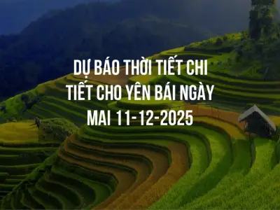 Dự báo thời tiết chi tiết cho Yên Bái ngày mai 11-12-2025