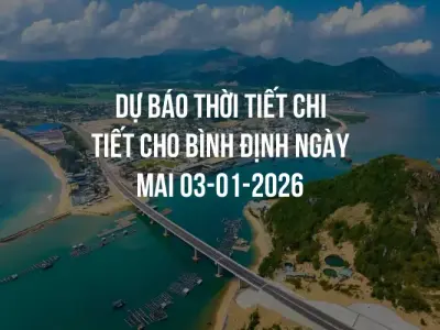 Dự báo thời tiết chi tiết cho Bình Định ngày mai 03-01-2026