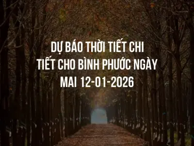 Dự báo thời tiết chi tiết cho Bình Phước ngày mai 12-01-2026