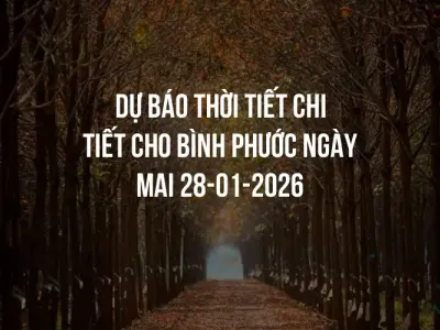 Dự báo thời tiết chi tiết cho Bình Phước ngày mai 28-01-2026