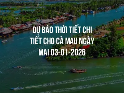 Dự báo thời tiết chi tiết cho Cà Mau ngày mai 03-01-2026