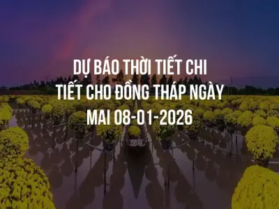 Dự báo thời tiết chi tiết cho Đồng Tháp ngày mai 08-01-2026