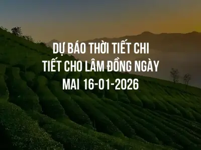 Dự báo thời tiết chi tiết cho Lâm Đồng ngày mai 16-01-2026