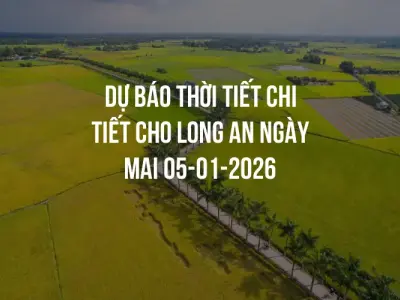 Dự báo thời tiết chi tiết cho Long An ngày mai 05-01-2026