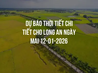 Dự báo thời tiết chi tiết cho Long An ngày mai 12-01-2026
